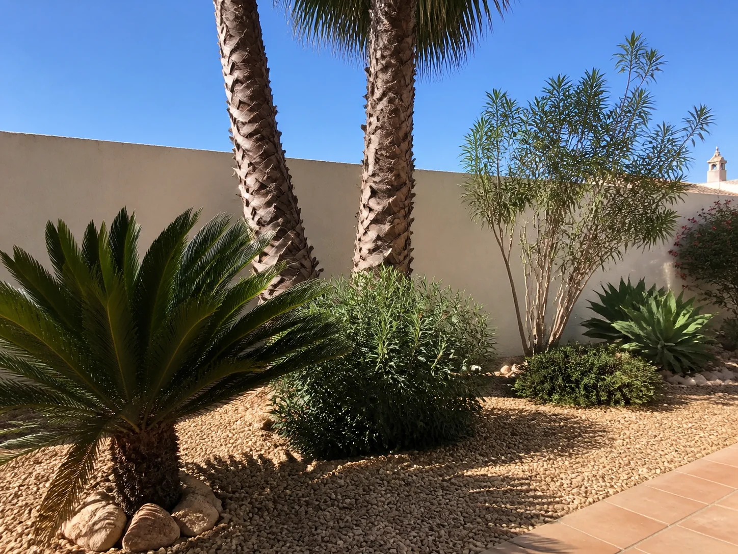 Jardín mediterráneo con palmeras y plantas resistentes