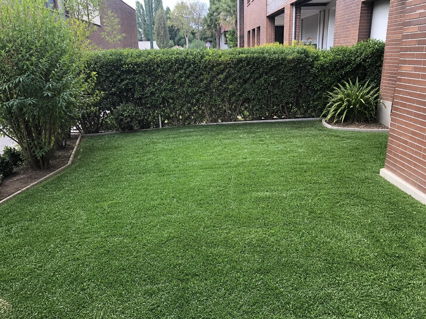 Reforma de jardín familiar con césped y setos